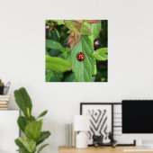 ladybug op blad poster (Thuiskantoor)