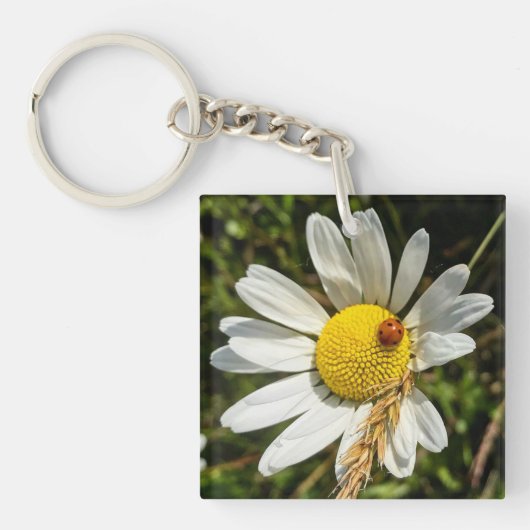 Ladybug op Daisy Sleutelhanger (voorkant)