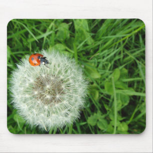 Ladybug op Dandelion Muismat