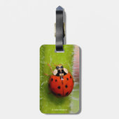 Ladybug op de Sunflower Stalk Bagagelabel (Achterkant verticaal)
