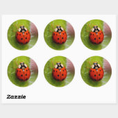 Ladybug op de Sunflower Stalk Ronde Sticker (Vel)