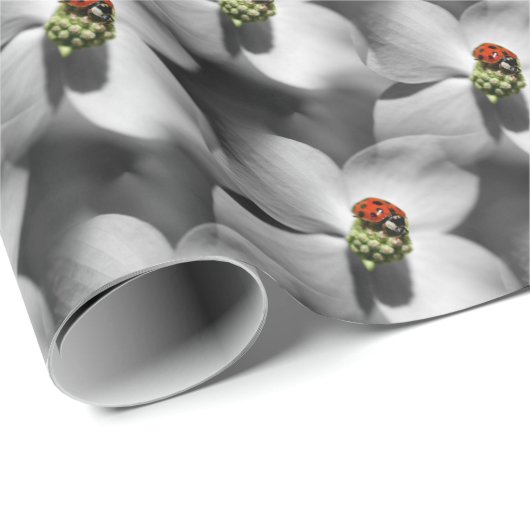 Ladybug op Dogwood Flower Natuur Pattern Cadeaupapier (Rol Hoek)