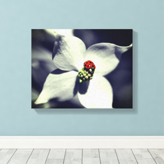 Ladybug op Dogwood Flower Partiële kleur Canvas Afdruk (Insitu (Houten vloer))