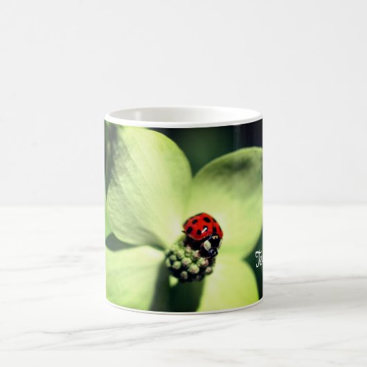 Ladybug op Dogwood Flower Persoonlijk Koffiemok (Center)