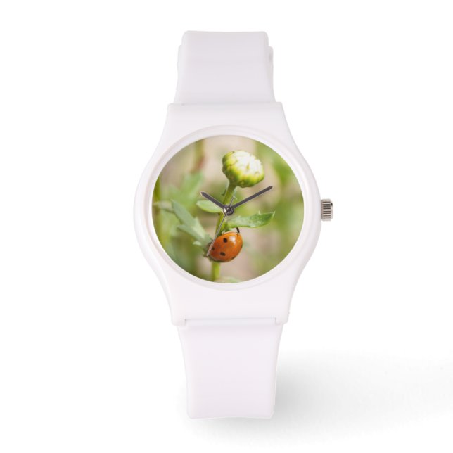 Ladybug op een Daisy Bud Horloge (Voorkant)