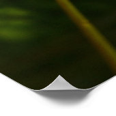 Ladybug op een Daisy Poster (Hoek)