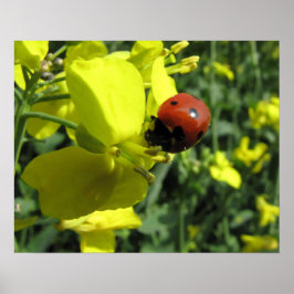 Ladybug op een gele ventilator poster