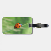 Ladybug op een grasspriet bagagelabel (Achterkant horizontaal)
