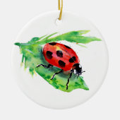 Ladybug op een groen lef keramisch ornament (Voorkant)