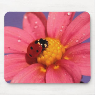 Ladybug op een roze Daisy Muismat