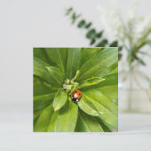 Ladybug op Flowers (Staand voorkant)