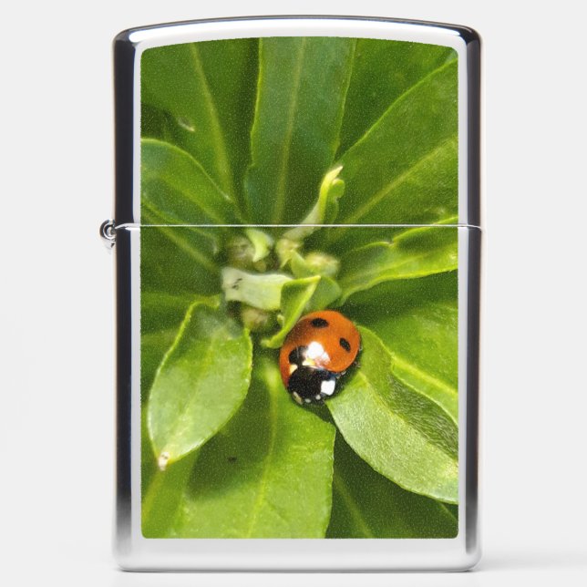 Ladybug op Flowers (Voorkant)