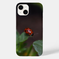 Ladybug op Flowers