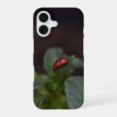 Ladybug op Flowers iPhone 16 Hoesje (Achterkant)