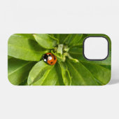 Ladybug op Flowers iPhone Hoesje (Achterkant horizontaal)