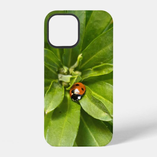 Ladybug op Flowers iPhone Hoesje (Achterkant)