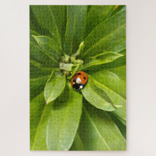 Ladybug op Flowers Legpuzzel