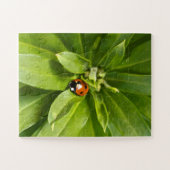 Ladybug op Flowers Legpuzzel (Horizontaal)