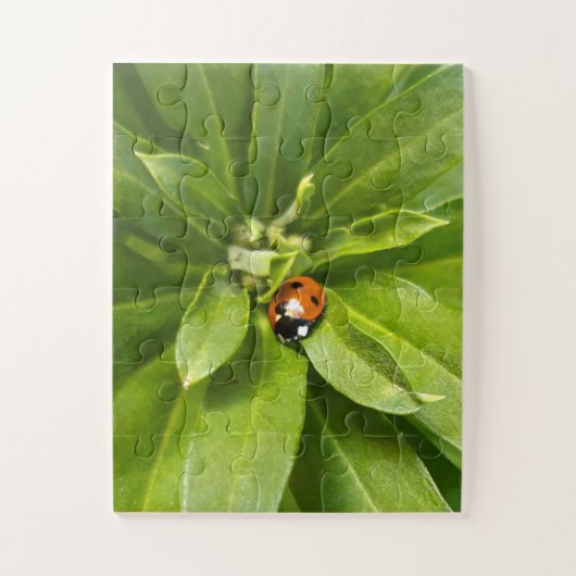 Ladybug op Flowers Legpuzzel (Verticaal)