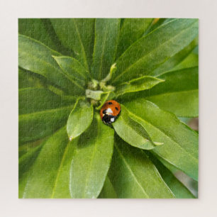 Ladybug op Flowers Legpuzzel
