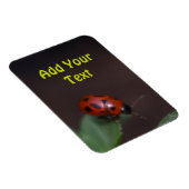 Ladybug op Flowers Magneet (Rechterzijde)