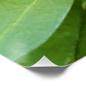 Ladybug op Flowers Perfect Poster (Hoek)