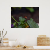 Ladybug op Flowers Poster (Keuken)