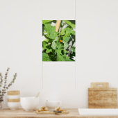 Ladybug op Flowers Poster (Keuken)
