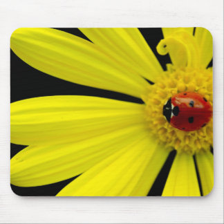 Ladybug op gele maaltijd muismat