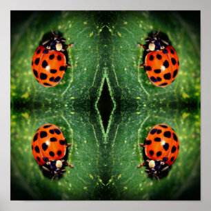 Ladybug op Leaf Close Abstract Poster