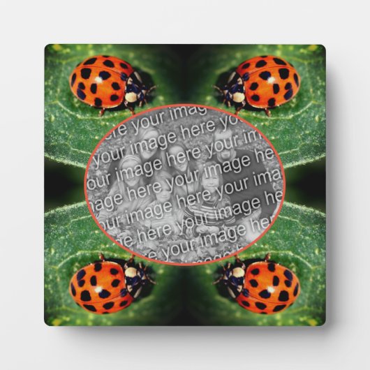 Ladybug op Leaf Creëer Uw eigen foto Fotoplaat (Voorkant)