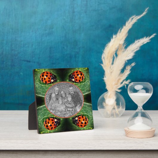 Ladybug op Leaf Creëer Uw eigen foto Fotoplaat (Insitu)