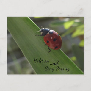 Ladybug op Leaf Hold on and Blijf Sterk Briefkaart