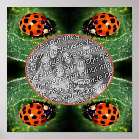 Ladybug op Leaf Lijst Creëer Uw eigen foto Poster (Voorkant)
