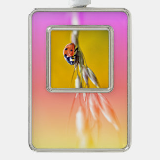 Ladybug op stengelpleksticker T-Shirt Ma Verzilverd Kader Ornament