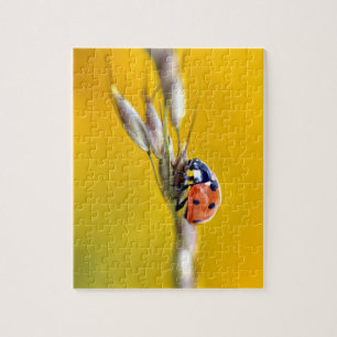 Ladybug op stengeltje briefkaart legpuzzel