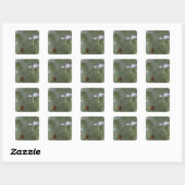 Ladybug op stoom vierkante sticker (Vel)
