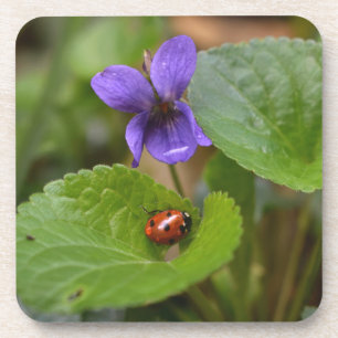 Ladybug op Sweet Violet Flowers Bier Onderzetter