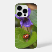Ladybug op Sweet Violet Flowers iPhone Hoesje (Achterkant)