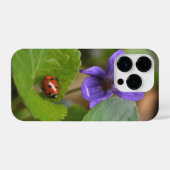 Ladybug op Sweet Violet Flowers iPhone Hoesje (Achterkant horizontaal)