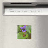 Ladybug op Sweet Violet Flowers Magneet (Insitu (Vaatwasser))