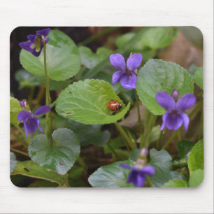 Ladybug op Sweet Violet Flowers Muismat