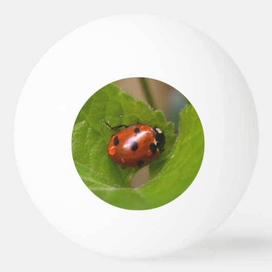 Ladybug op Sweet Violet Flowers Pingpongballen (Voorkant)