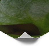 Ladybug op Sweet Violet Flowers Poster (Hoek)