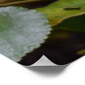 Ladybug op Sweet Violet Flowers Poster (Hoek)