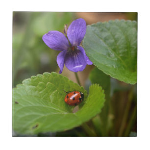 Ladybug op Sweet Violet Flowers Tegeltje