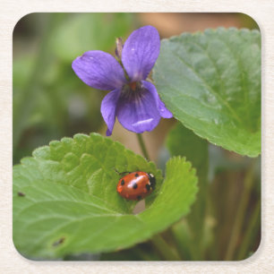 Ladybug op Sweet Violet Flowers Vierkante Kartonnen Onderzetter