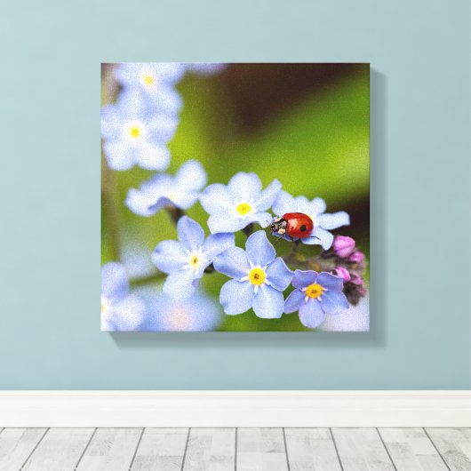 Ladybug op 'Vergeet-me-niet' Canvas Afdruk (Insitu (Houten vloer))