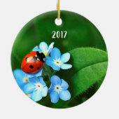 Ladybug Ornament (Achterkant)