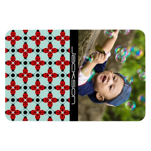 Ladybug Pattern Magneet (Horizontaal)